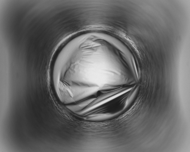 X0000096191328200802081512