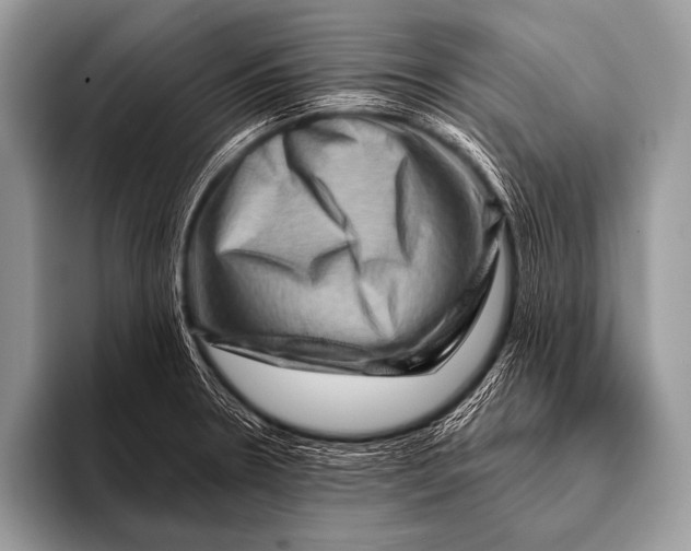 X0000096191330200802081512