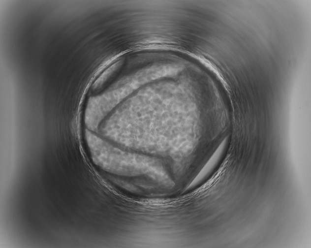 X0000096191333200802081512