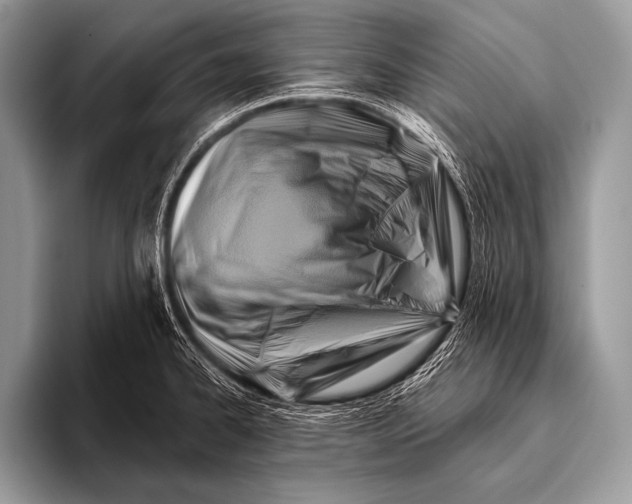 X0000096191334200802081512