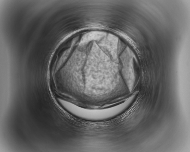 X0000096191335200802081512