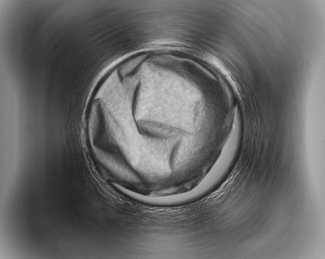 X0000096191336200802081512