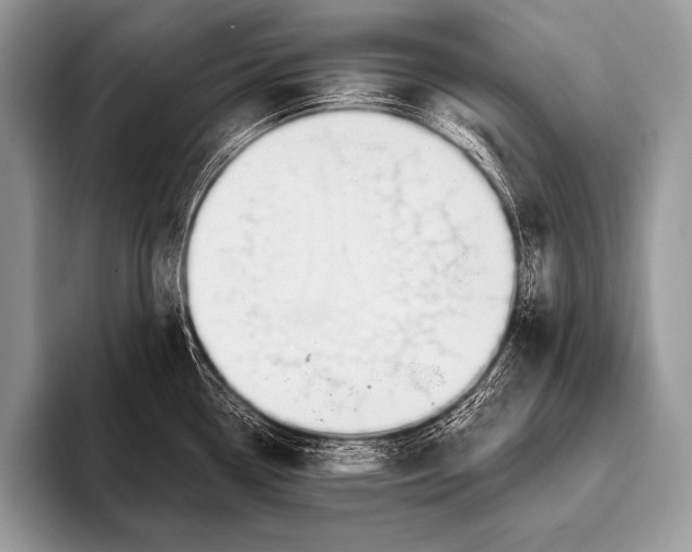 X0000096191338200802081512