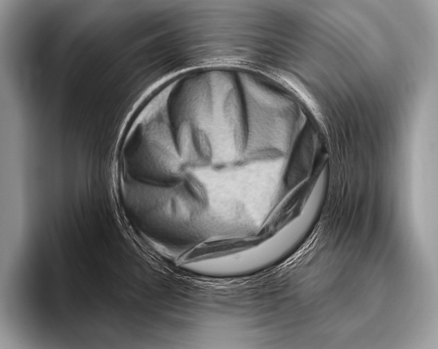 X0000096191340200802081512