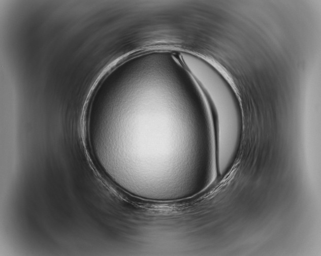 X0000096191341200802081512