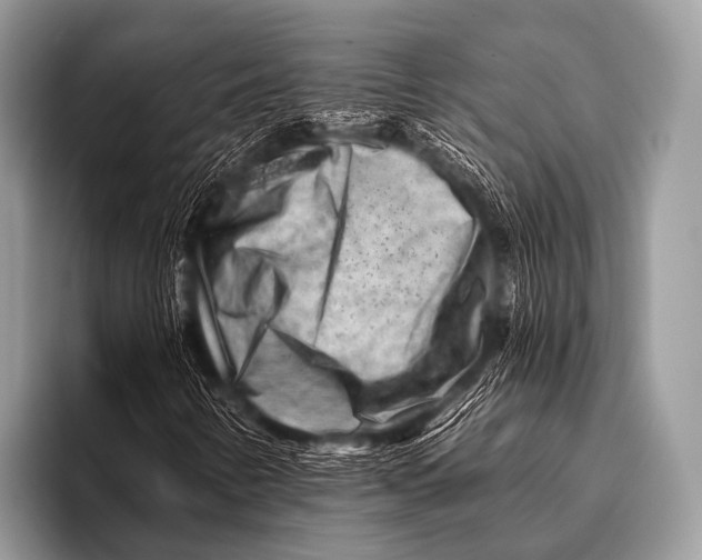 X0000096191346200802081511