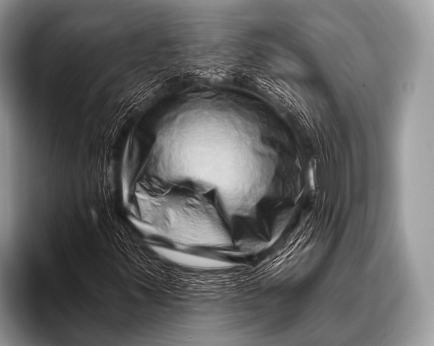 X0000096191347200802081511