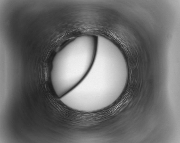 X0000096191348200802081511