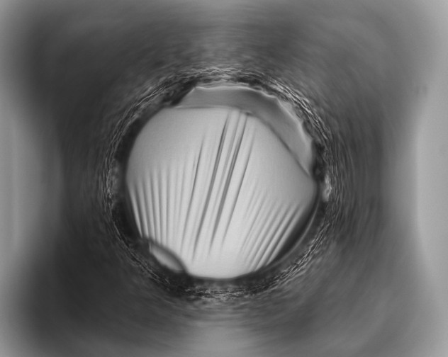 X0000096191349200802081511