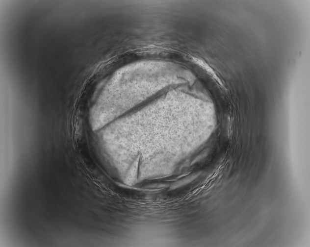 X0000096191350200802081511