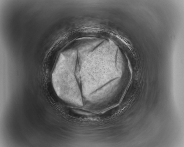 X0000096191351200802081511