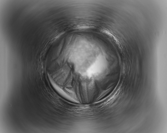 X0000096191353200802081511