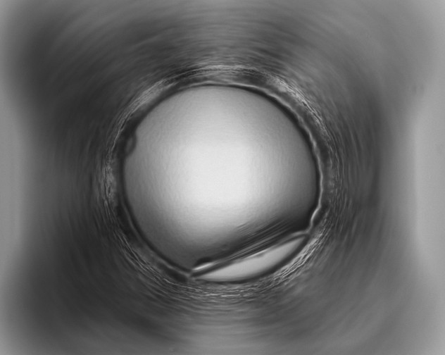 X0000096191354200802081511