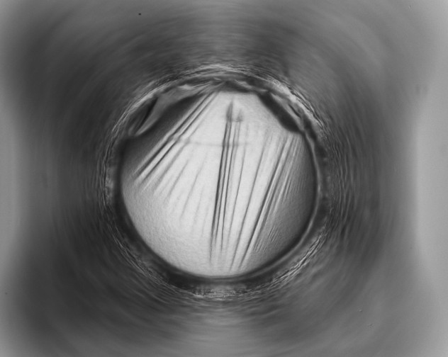 X0000096191355200802081511