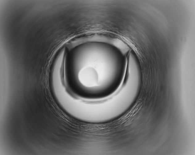 X0000096191356200802081511