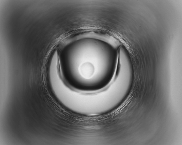 X0000096191357200802081511