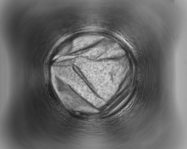 X0000096191358200802081511