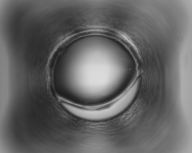 X0000096191360200802081511