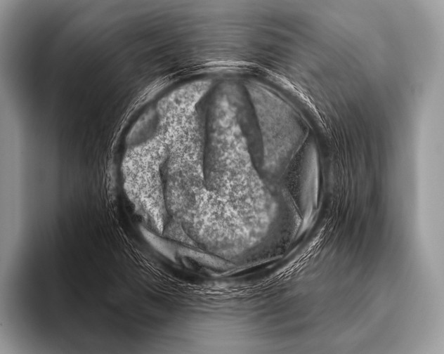 X0000096191362200802081511