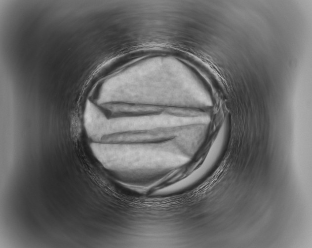 X0000096191363200802081511