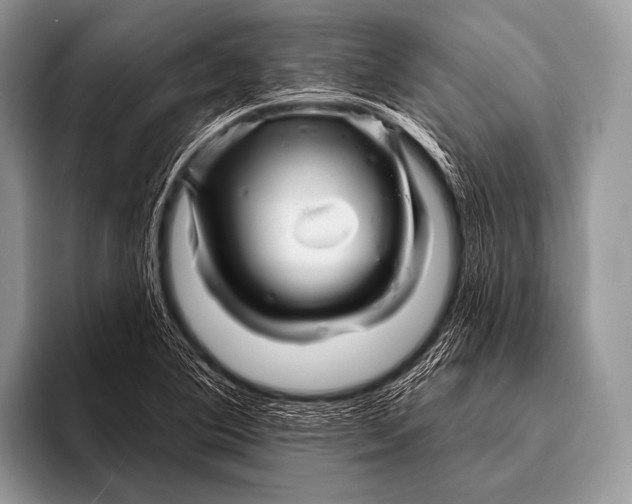 X0000096191364200802081511