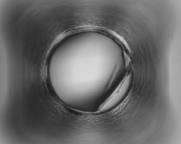 X0000096191365200802081511