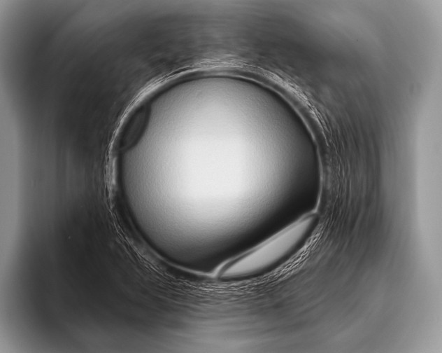 X0000096191366200802081511