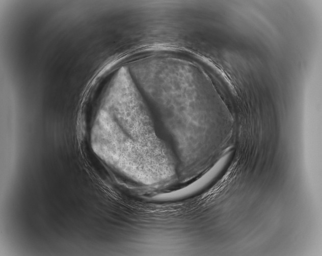 X0000096191367200802081511