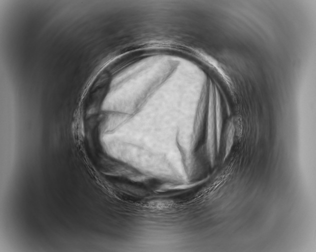 X0000096191368200802081511