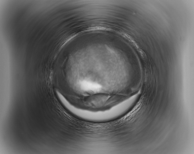 X0000096191369200802081511