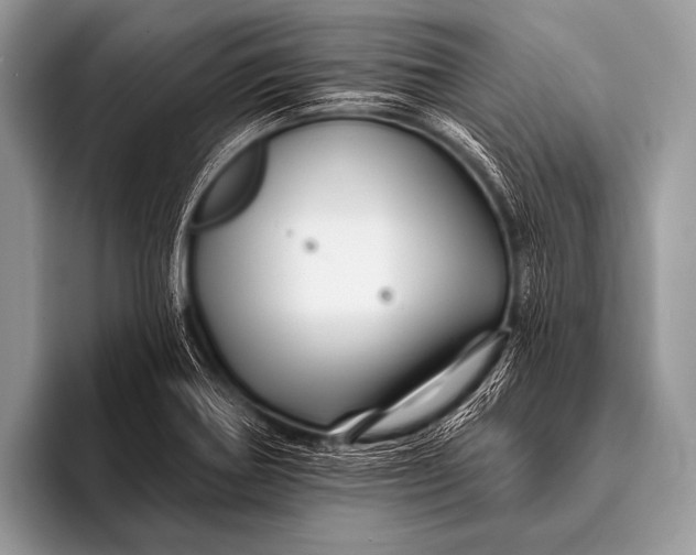 X0000096191370200802081511