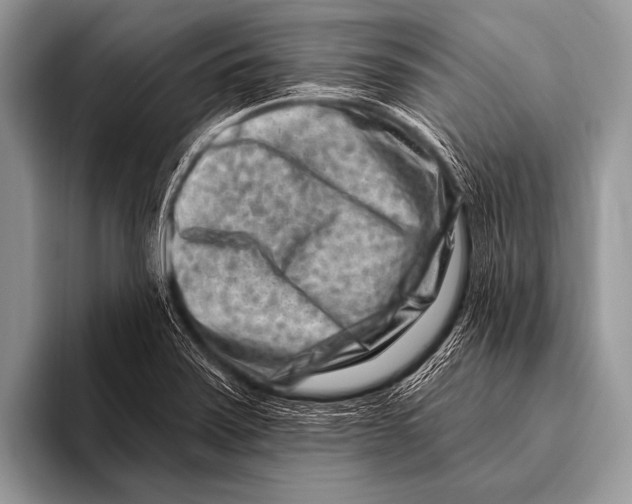 X0000096191371200802081511