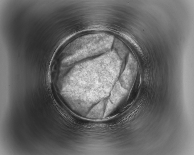 X0000096191372200802081511