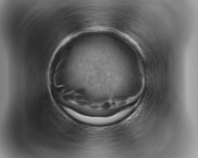 X0000096191373200802081511