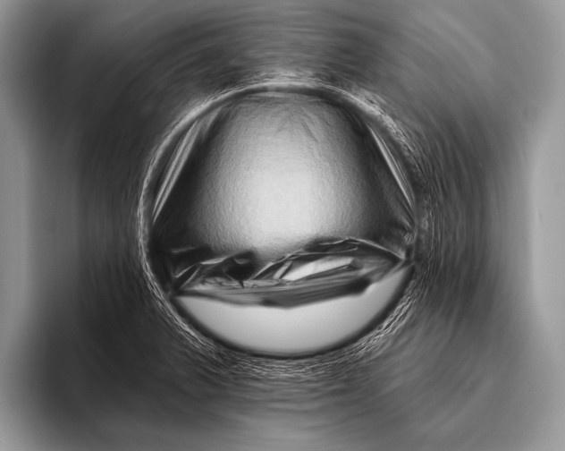 X0000096191375200802081511