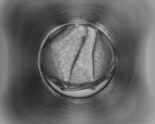 X0000096191379200802081511