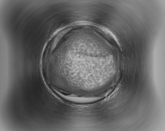 X0000096191381200802081511