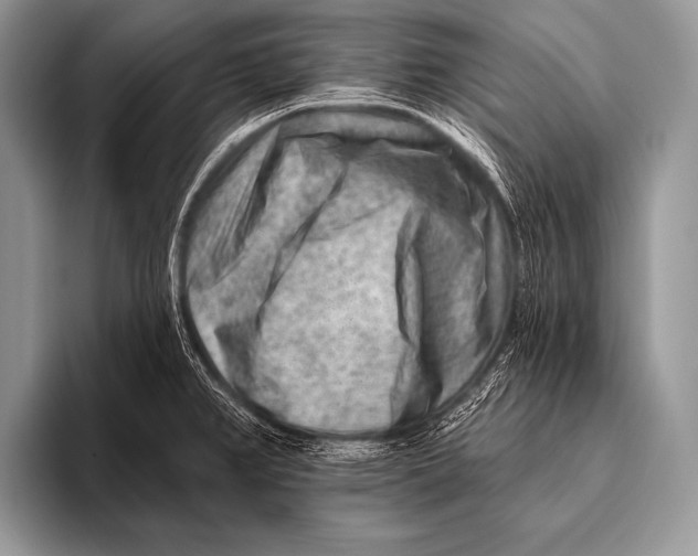 X0000096191382200802081511