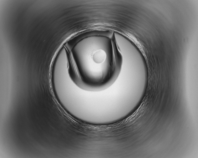 X0000096191384200802081511