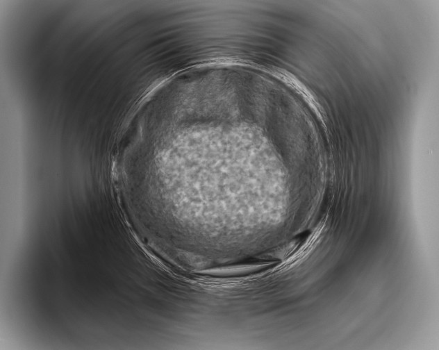 X0000096191385200802081511