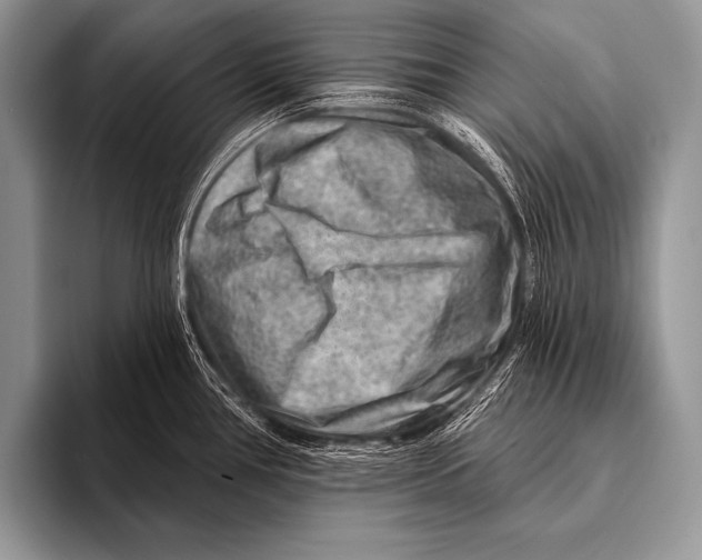 X0000096191386200802081511