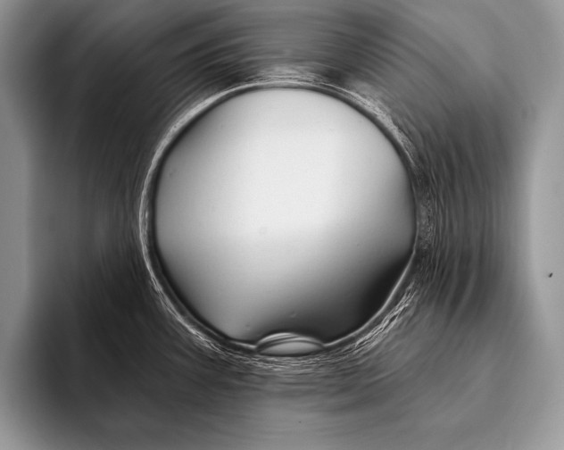 X0000096191387200802081511