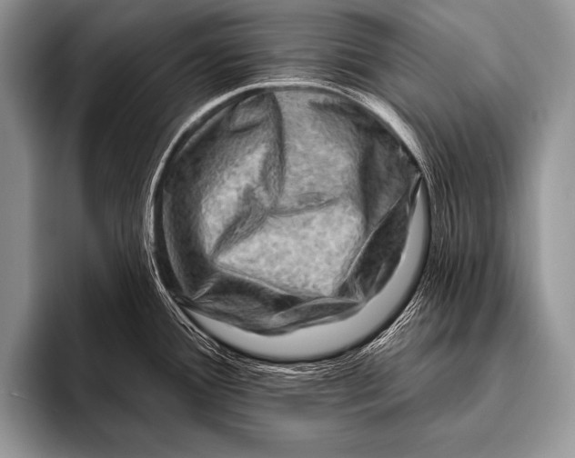 X0000096191388200802081511