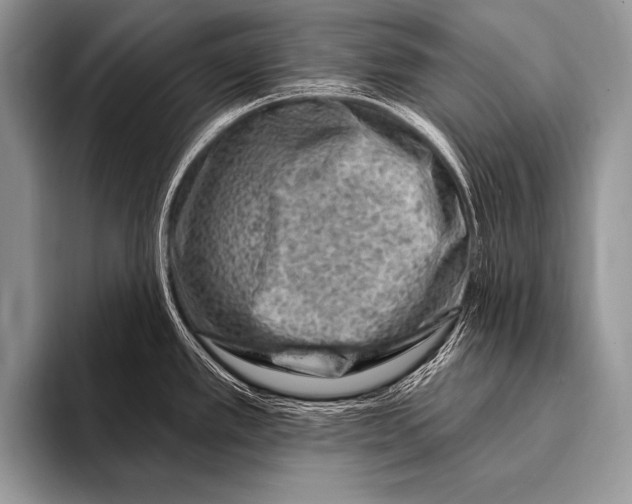 X0000096191389200802081511