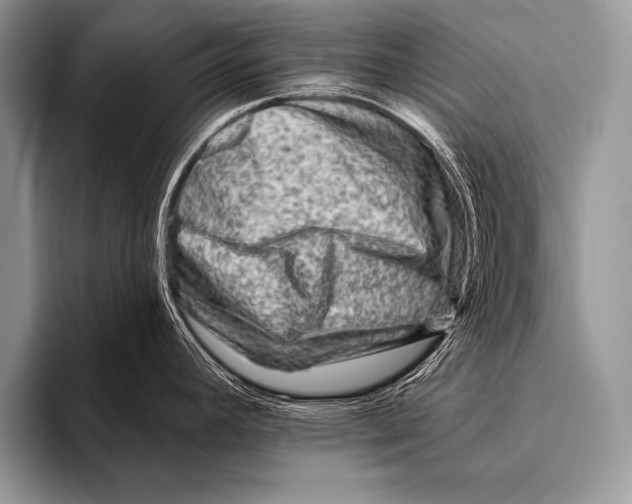 X0000096191392200802081511