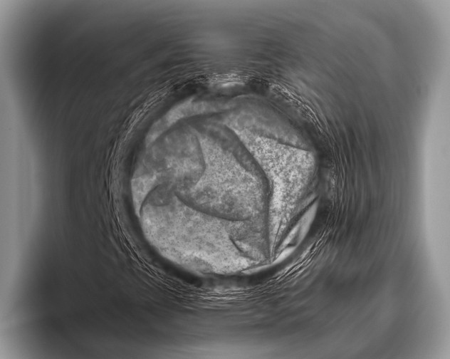 X0000096191393200802081510