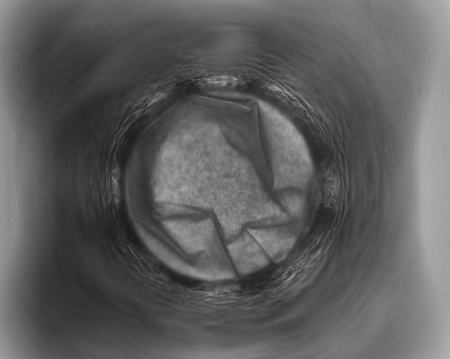 X0000096191394200802081510