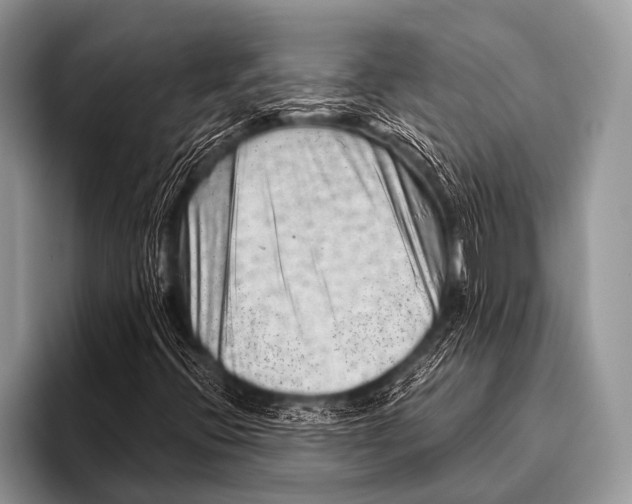 X0000096191396200802081510