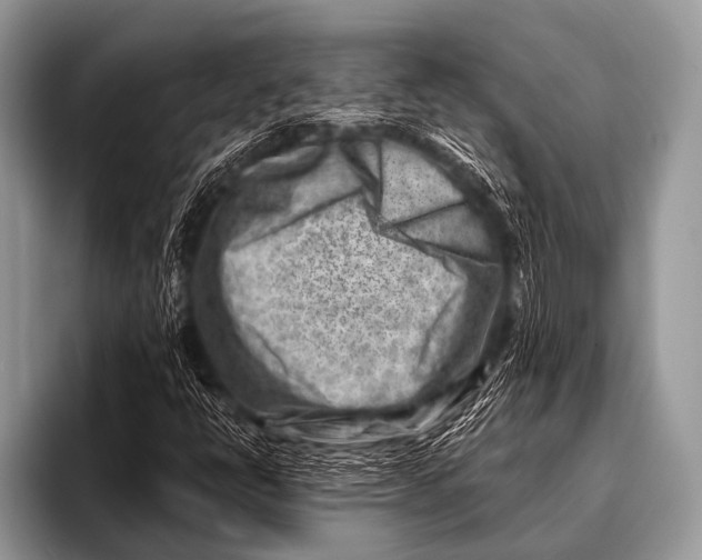 X0000096191398200802081510