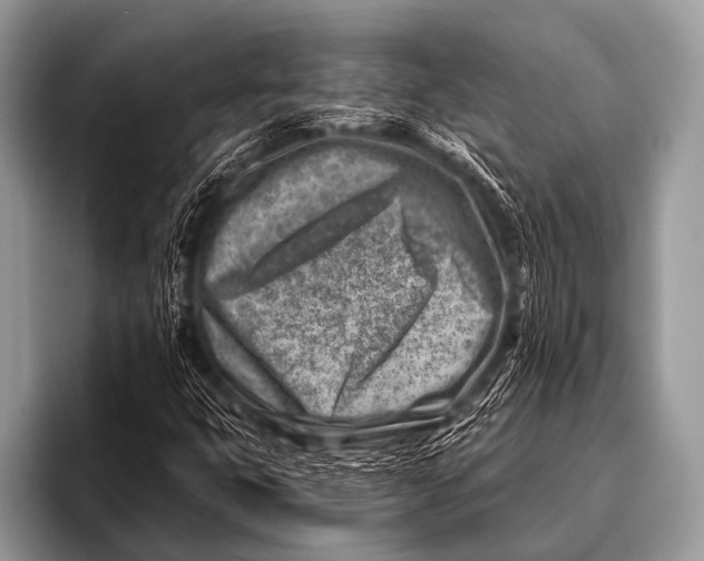 X0000096191399200802081510